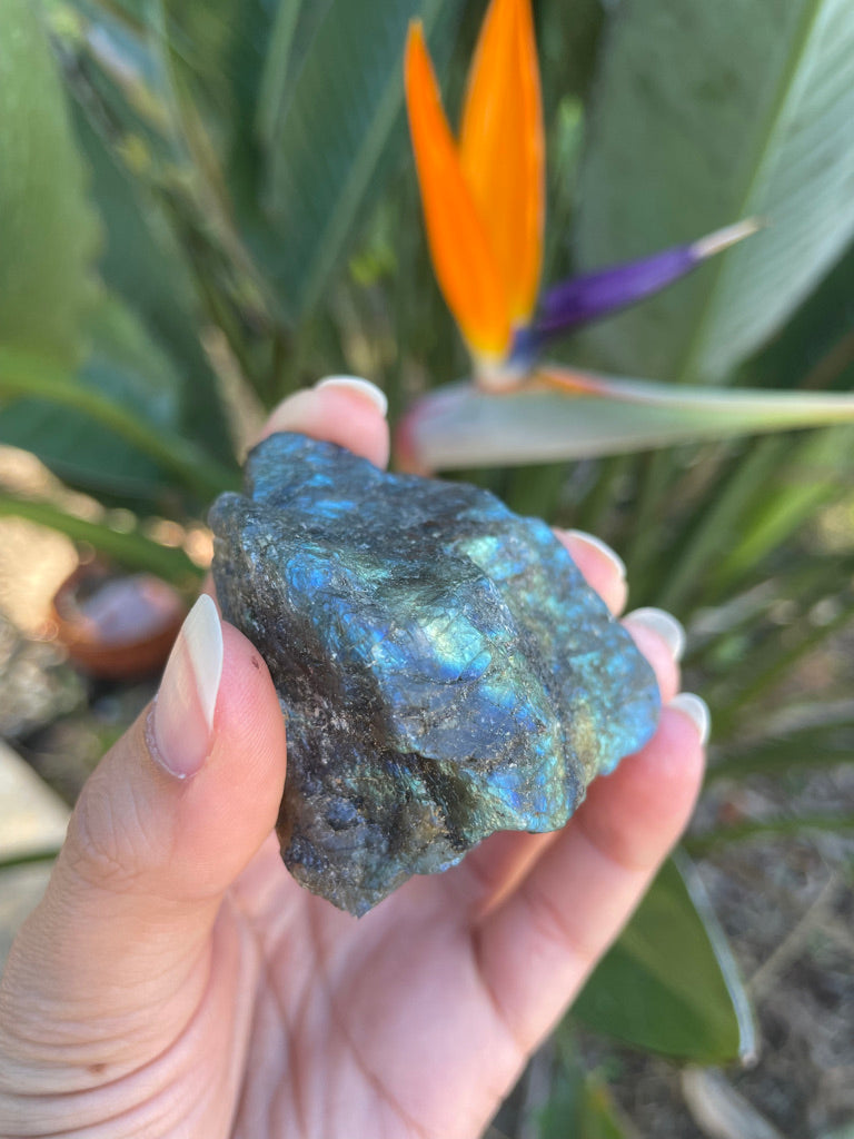 Labradorite (Raw, Half Polished) (Small)
