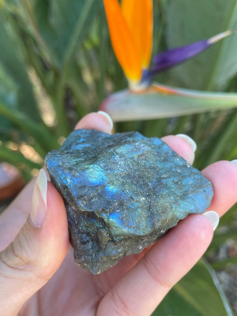 Labradorite (Raw, Half Polished) (Small)