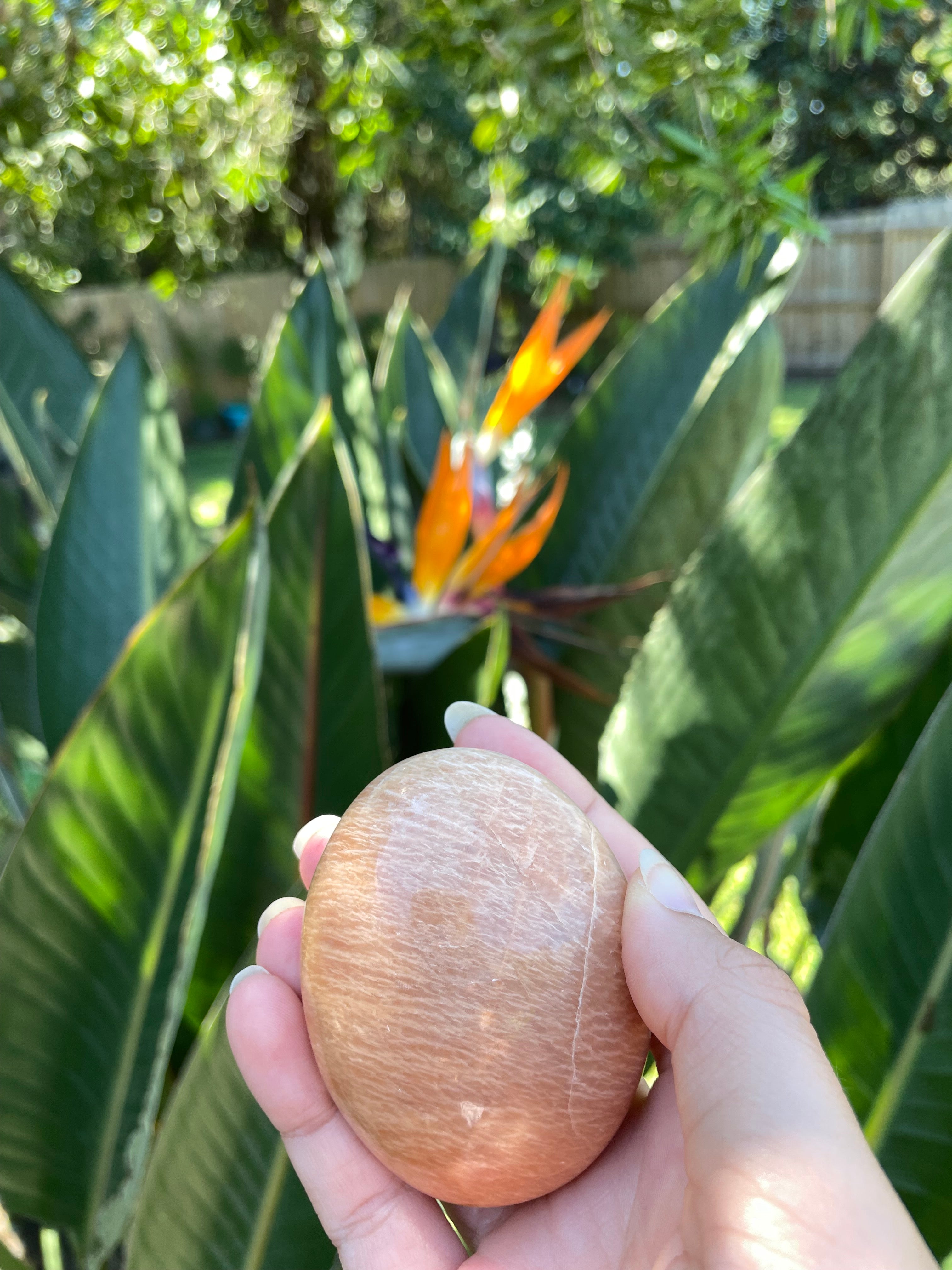 Peach Moonstone Pocket/Palm Stone