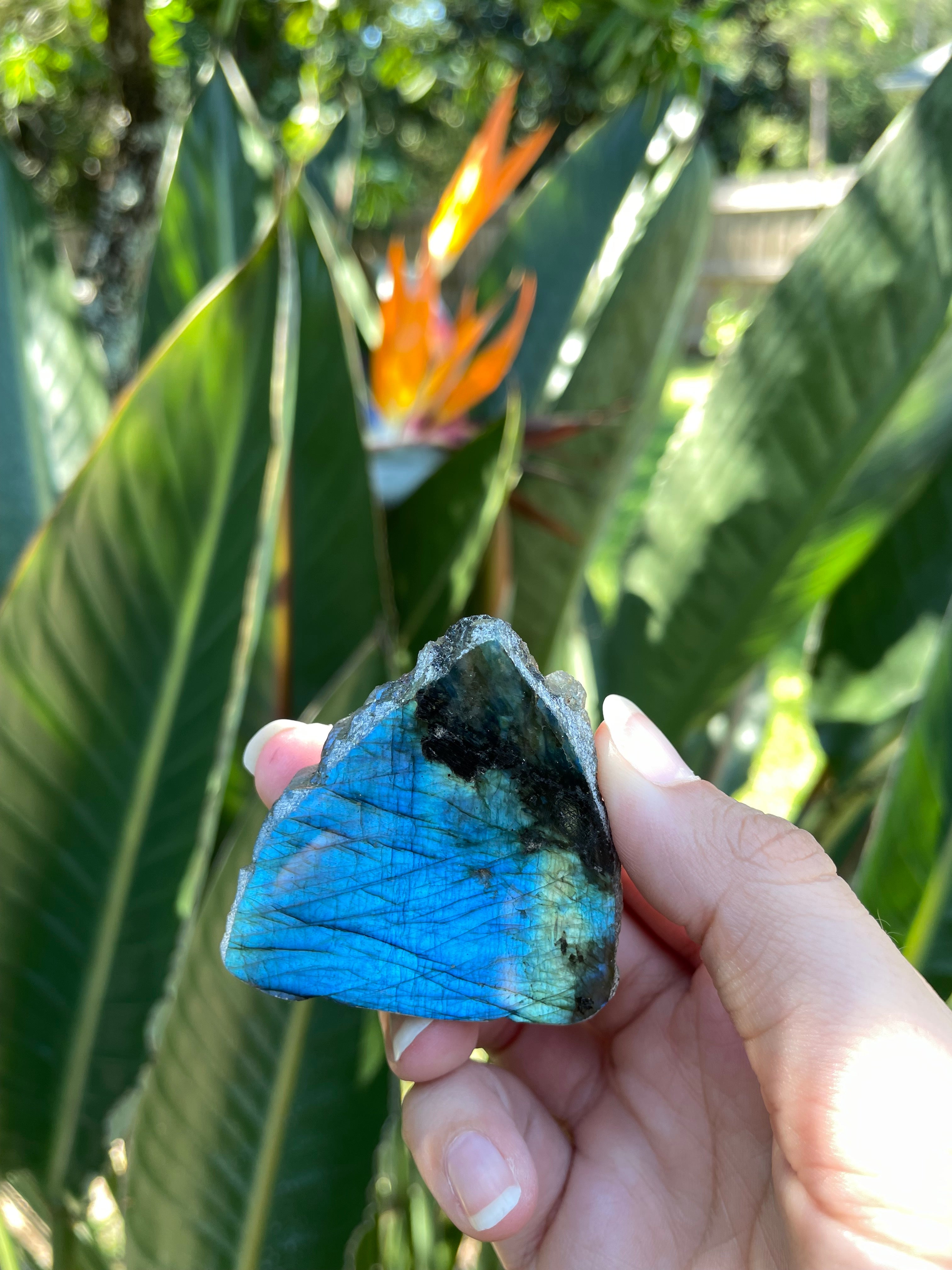 Labradorite (Raw, Half Polished) (Small)