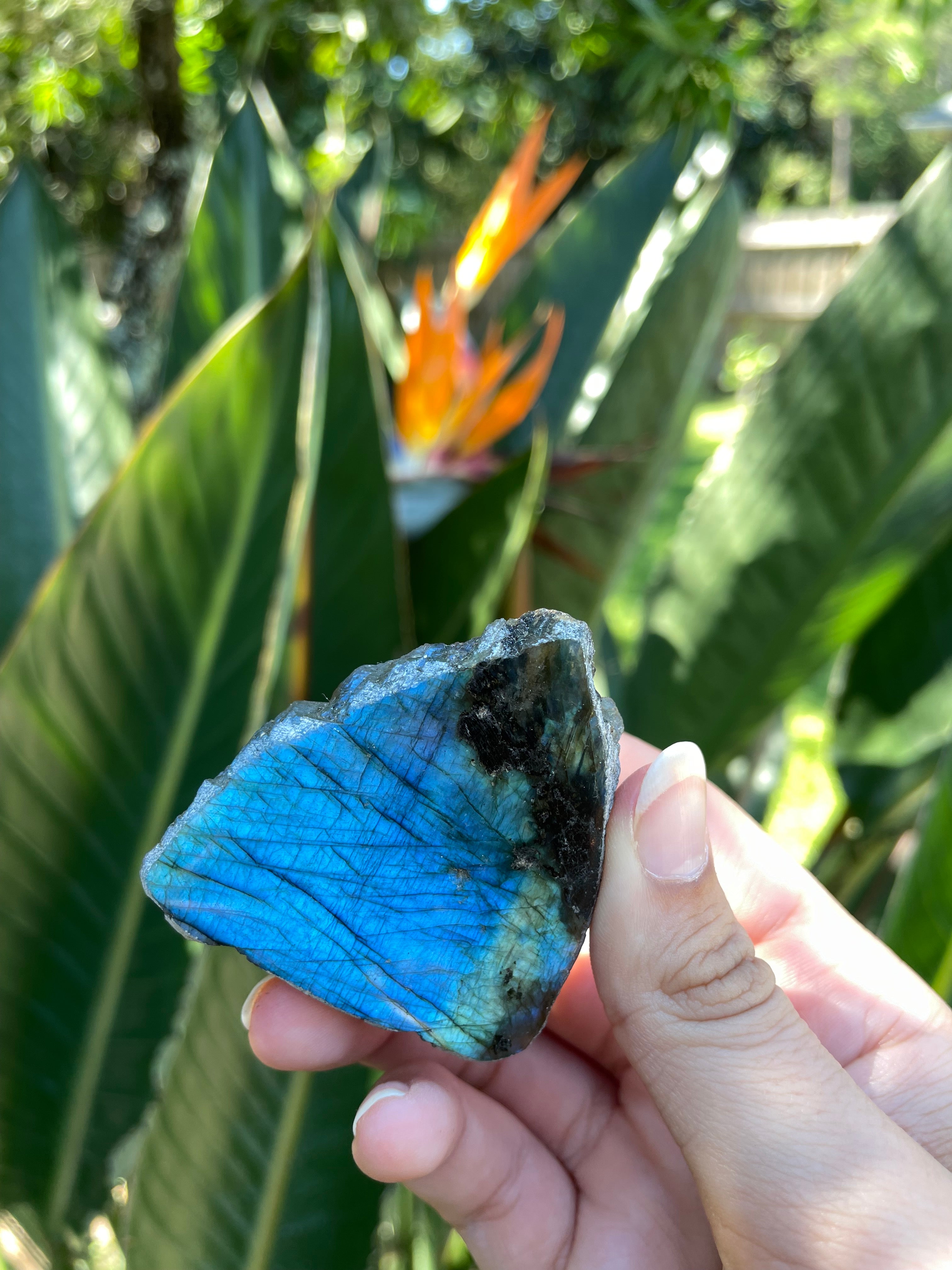 Labradorite (Raw, Half Polished) (Small)