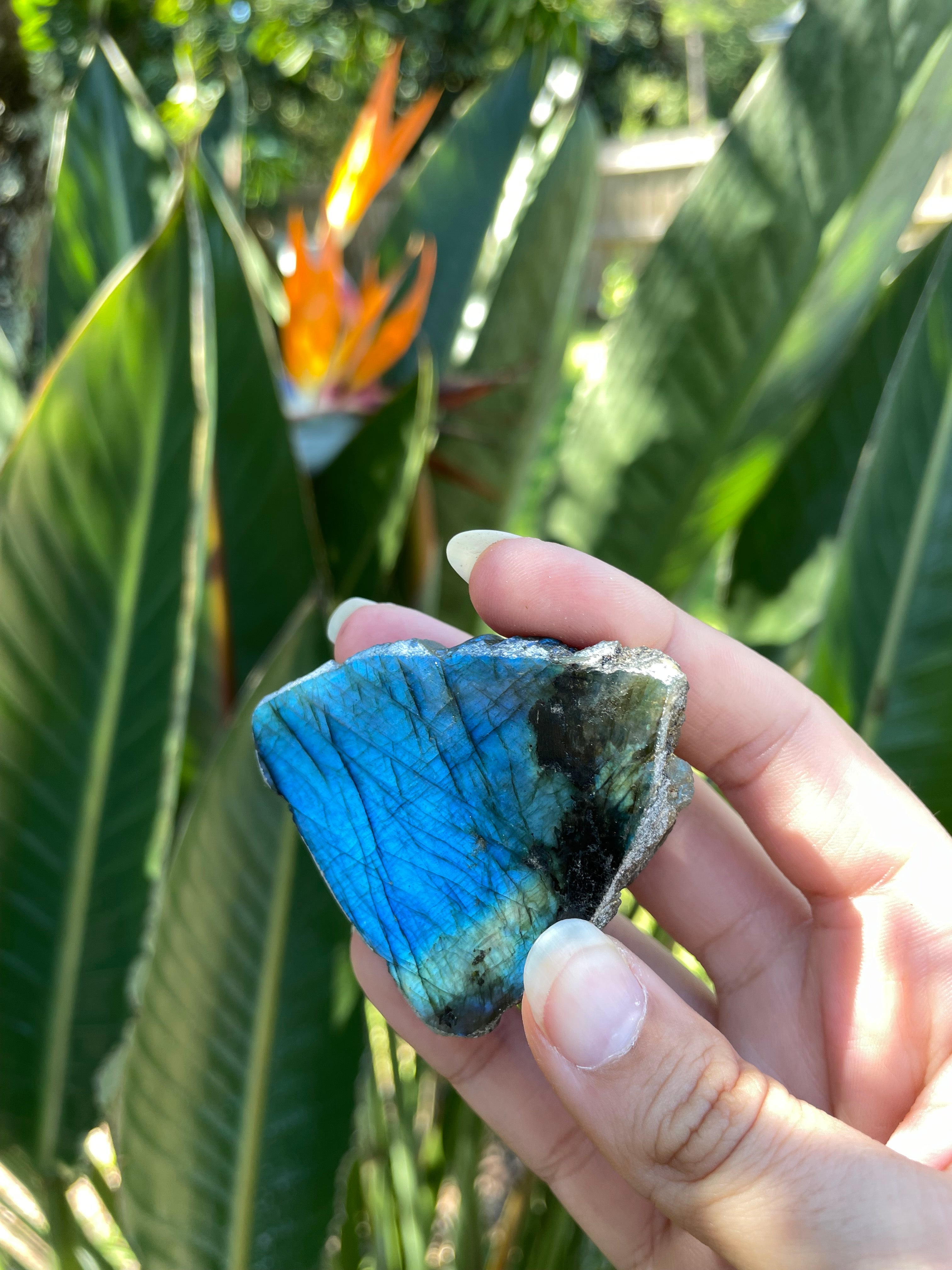 Labradorite (Raw, Half Polished) (Small)