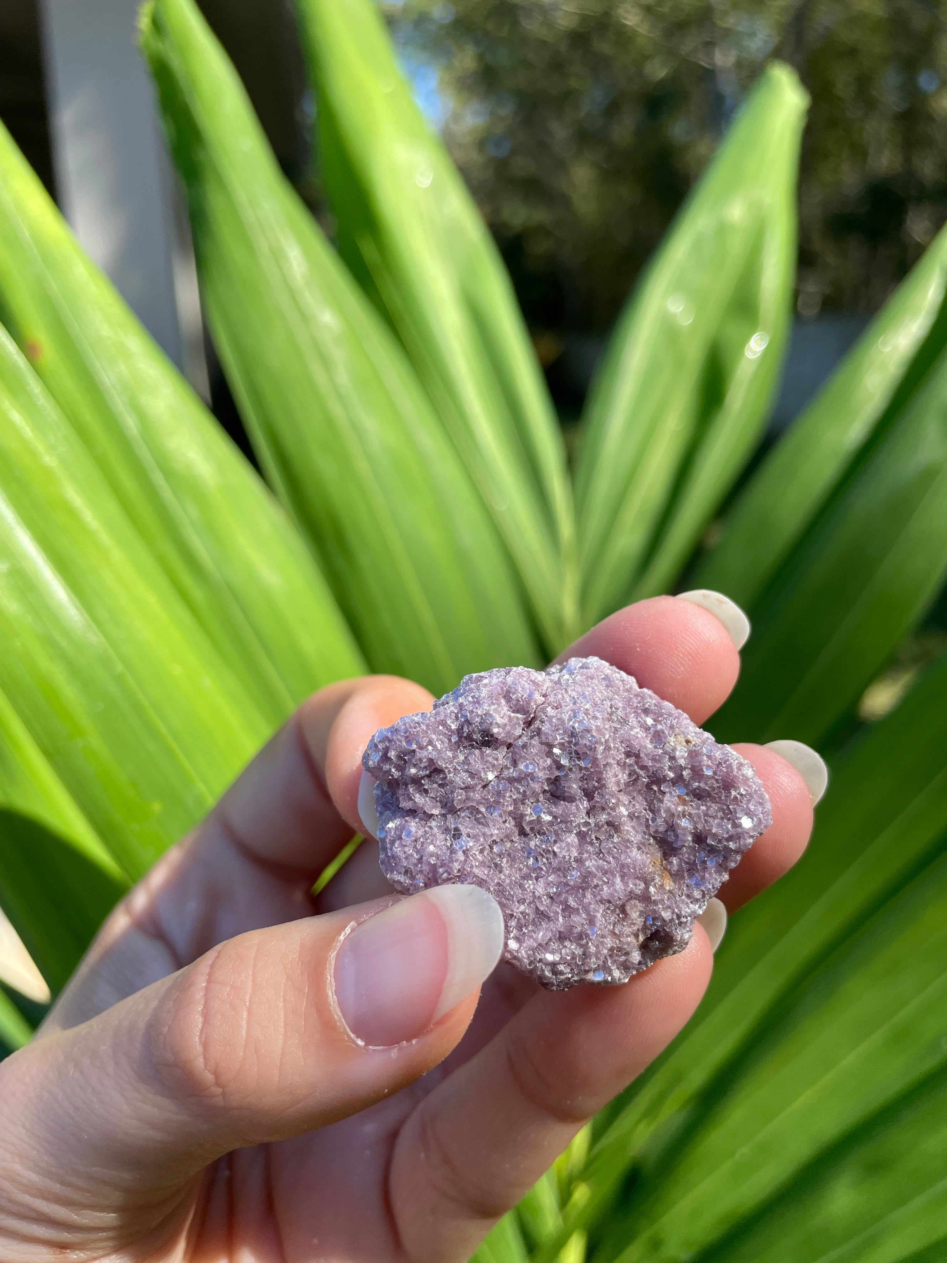 Raw Lepidolite
