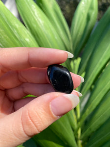 Black Obsidian Tumble