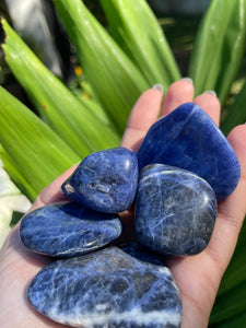 Sodalite Tumbles (Large)